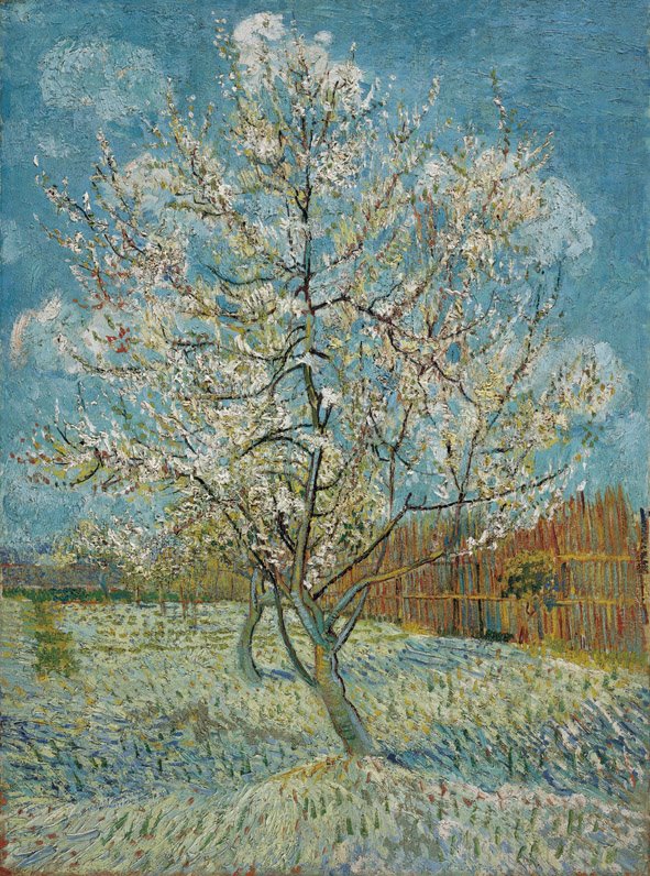 [Van+Gogh.+1888.+Ã“leo+sobre+lienzo.+The+pink+peach+tree..bmp]