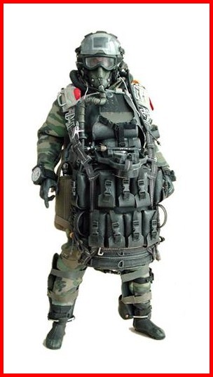 [U.S.+Navy+SEAL+HALO+UDT+Jumper+-+Camo+Dry+Suit+Version.jpg]