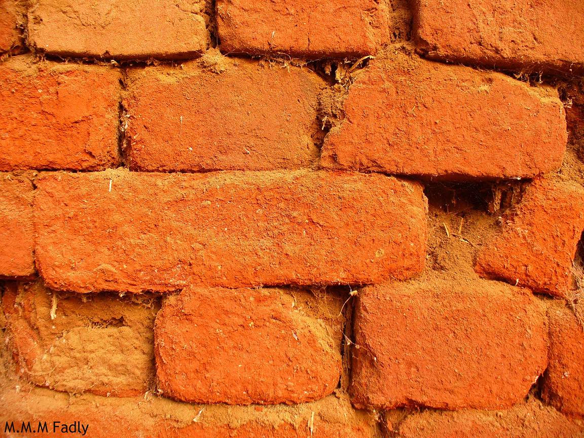 [bricks.jpg]