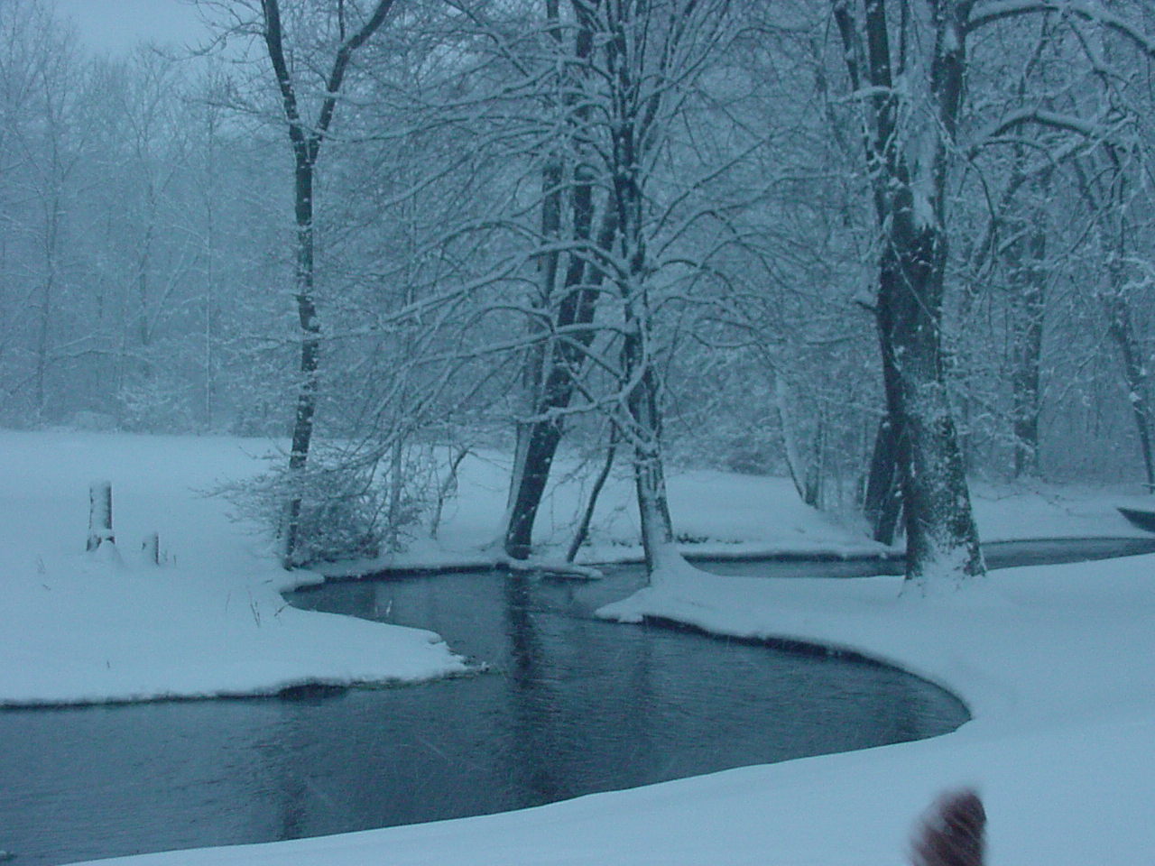[creek+winter+208.jpg]