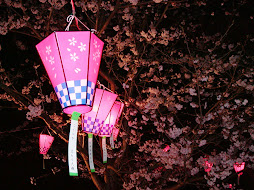 Cherry Blossom Festival, Japan