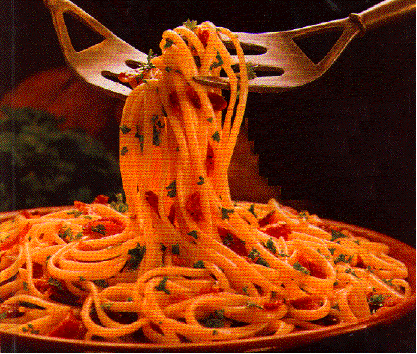 [spaghetti.gif]