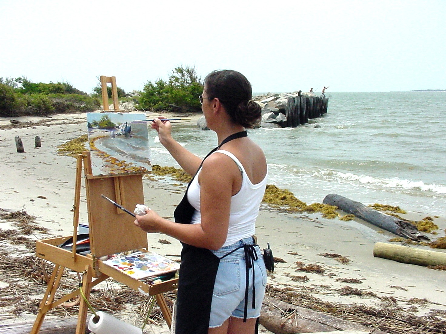 [COPA_painter_Mary_Hoffman_on_SI_6.19.07_pic_it.jpg]