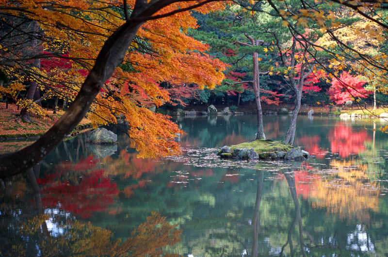 [800px-KyotoAutumn_from+wiki.jpg]