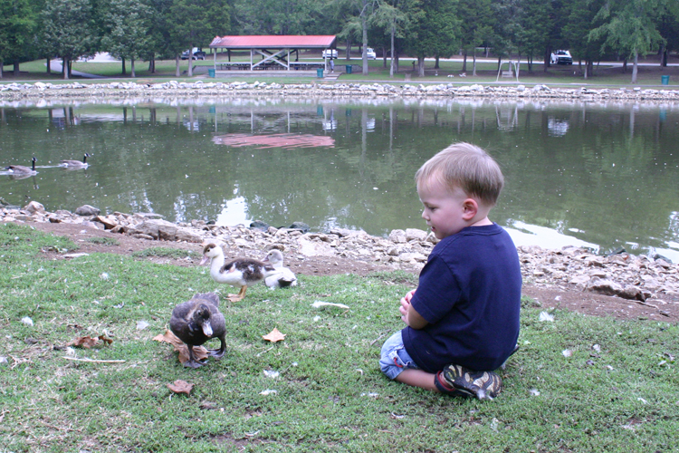 [8+andy+and+baby+duck+1+(small+file).jpg]