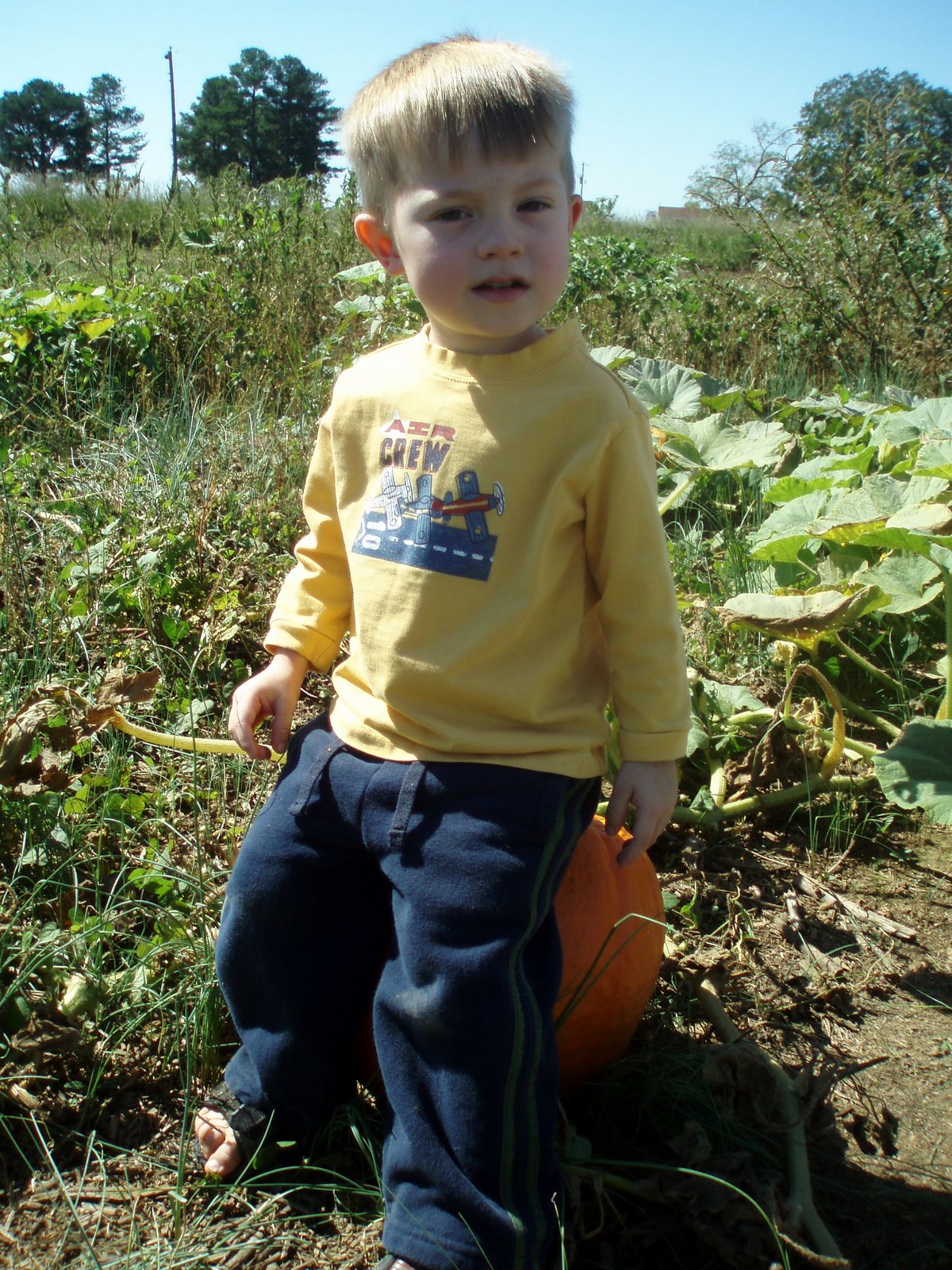 [Pumpkin+picking+2007+011.jpg]