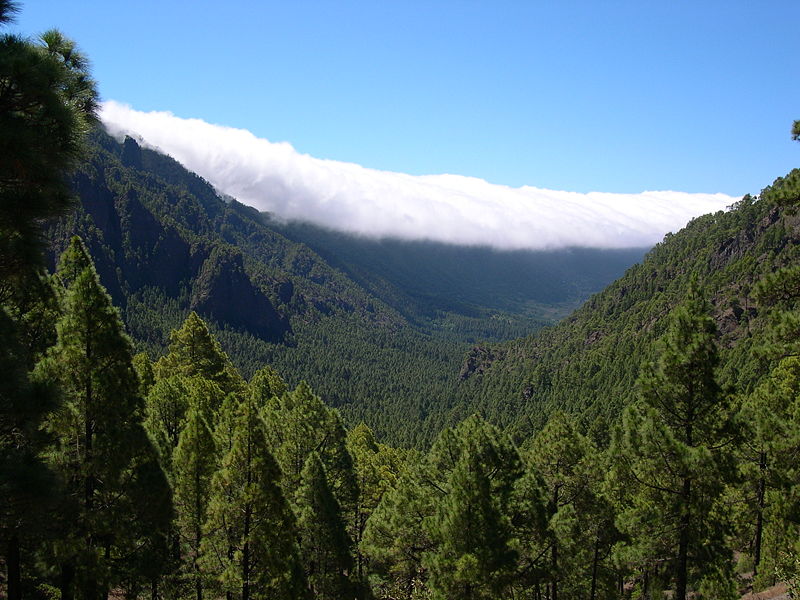 Cabildo de La Palma.