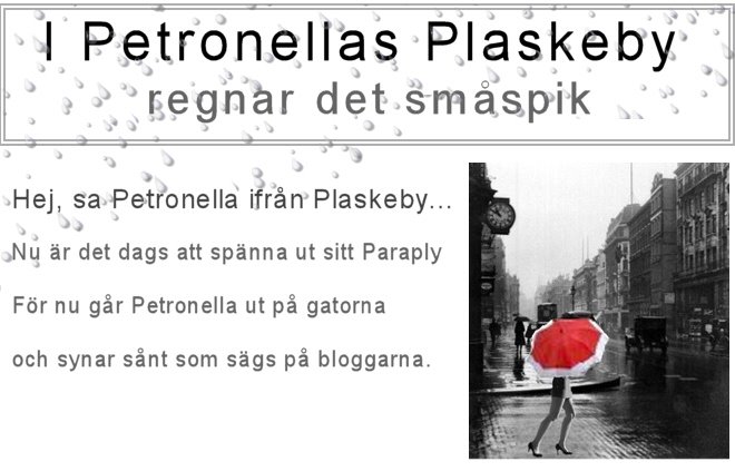 Petronellas Plaskeby