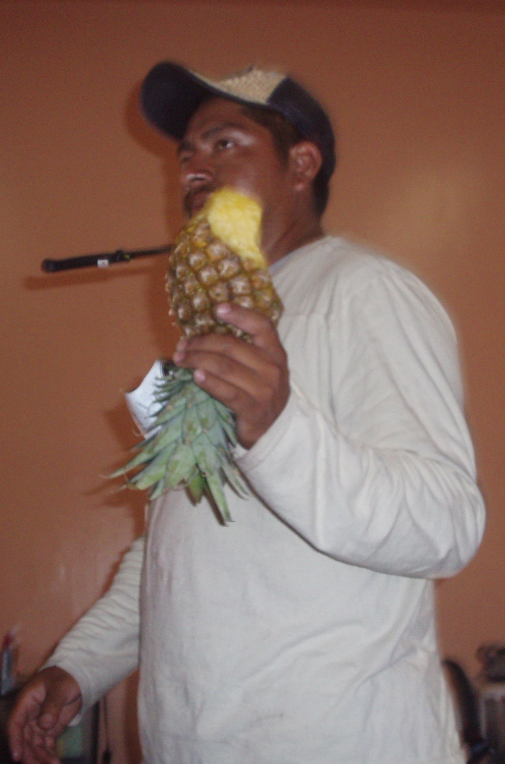 [ee+Pineapple.jpg]