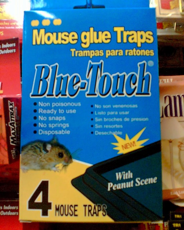 [mouse+trap+peanut+scene.jpg]
