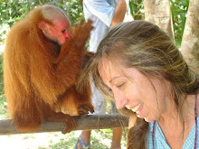 Monkey Love in Peru