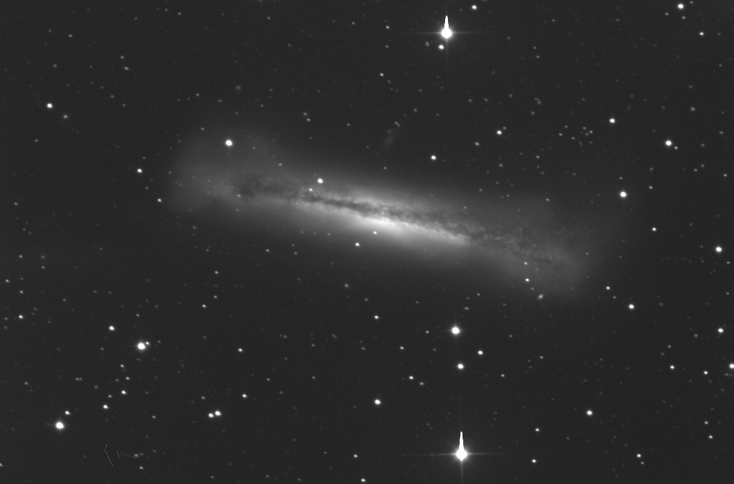 [NGC3628.jpg]