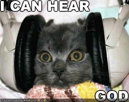 [funny-pictures-cat-headphones-god.jpg]