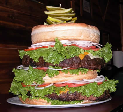 [hamburger2.JPG]