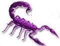 [purplescorpion.jpg]