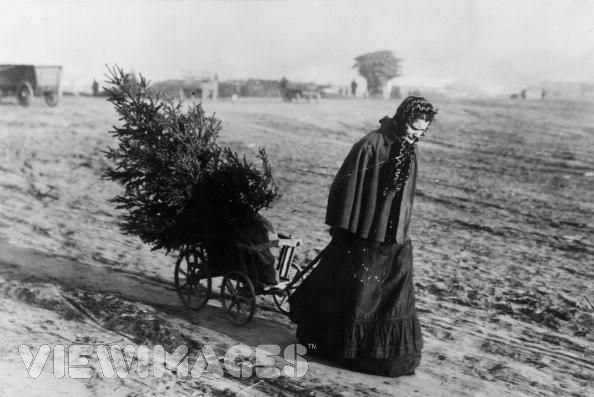 [Victorian+lady+with+Yule+tree.jpg]