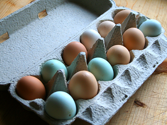 [eggs1.jpg]