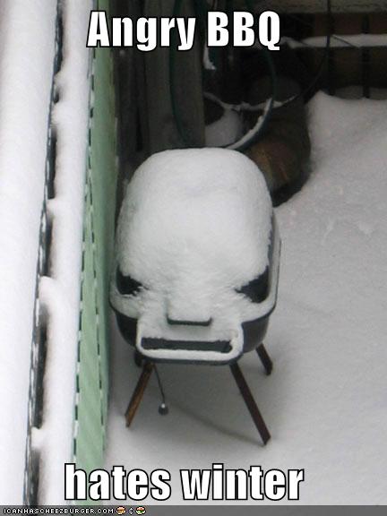 [funny-pictures-angry-bbq-hates-winter-snow.jpg]