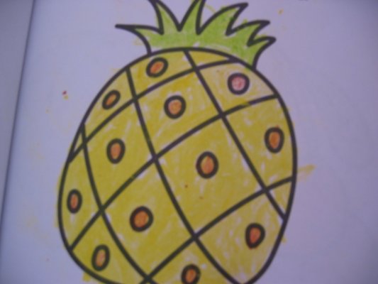 [Jinjiang+pineapple+color+fitting+by+kids.jpg]