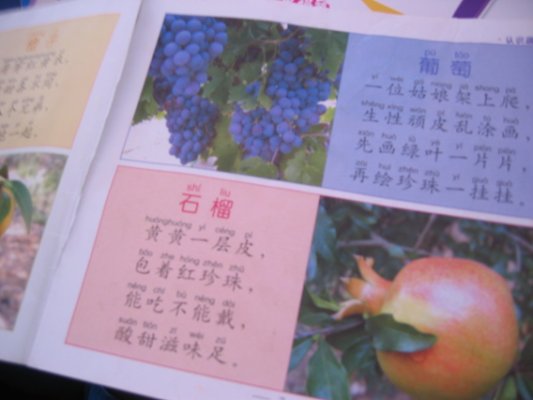 [Jinjiang+fruit-showing+book.jpg]