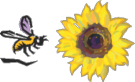[bee_sunflower_82.png]