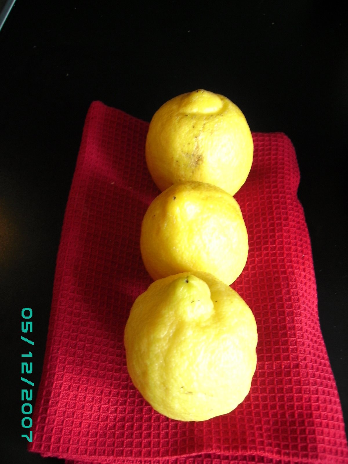 [MoVida,+lemon+cream+019.JPG]