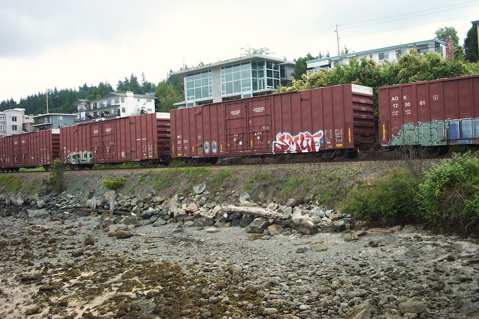 [03+Taylor+Dock+Walk+Freight+Train.JPG]
