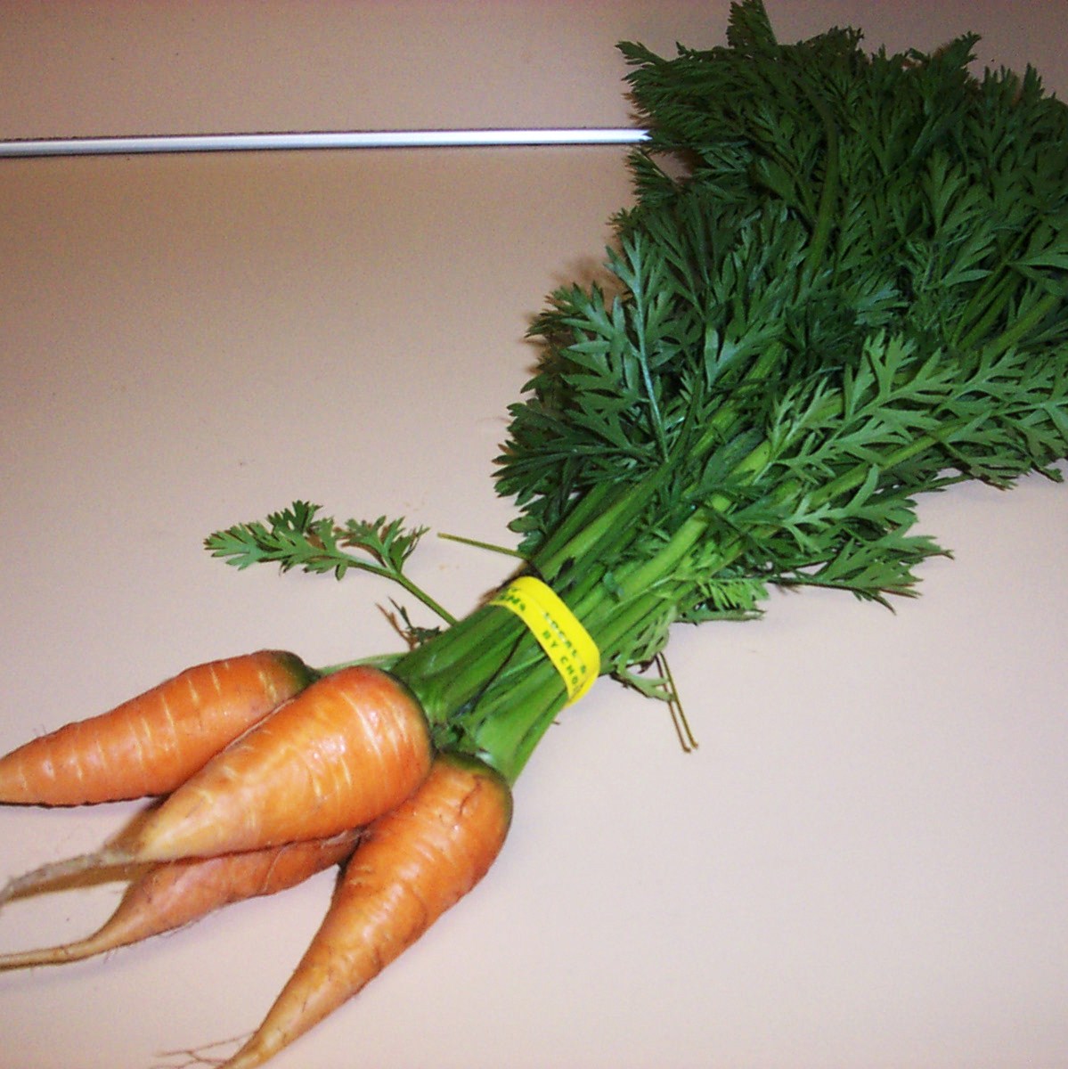 [05+-+Week+3+-+Carrots.JPG]