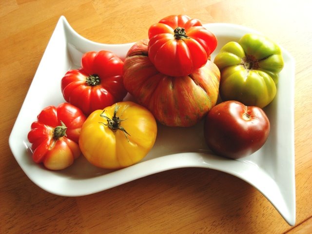 [tomatoes+resized.JPG]