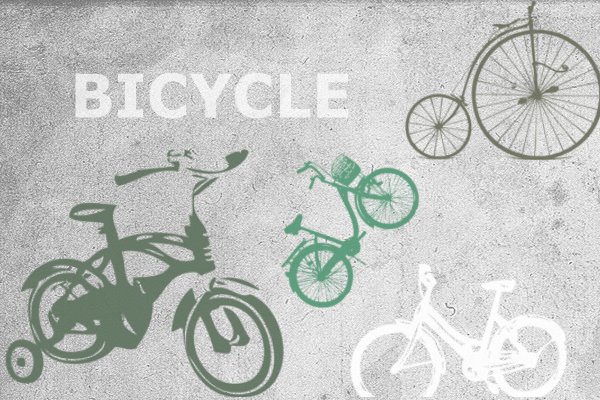 [Bicycle.jpg]