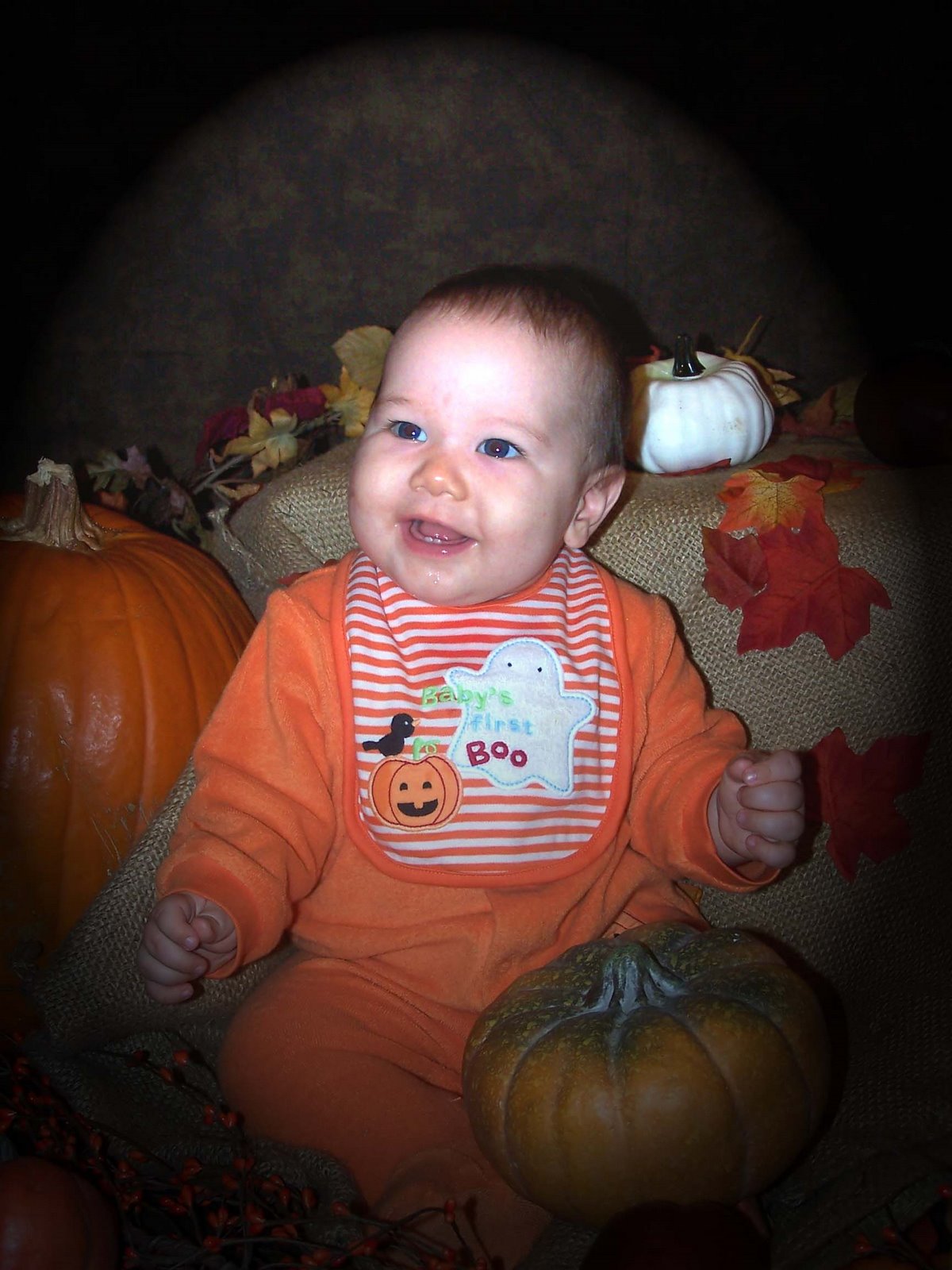 Our lil Punkin