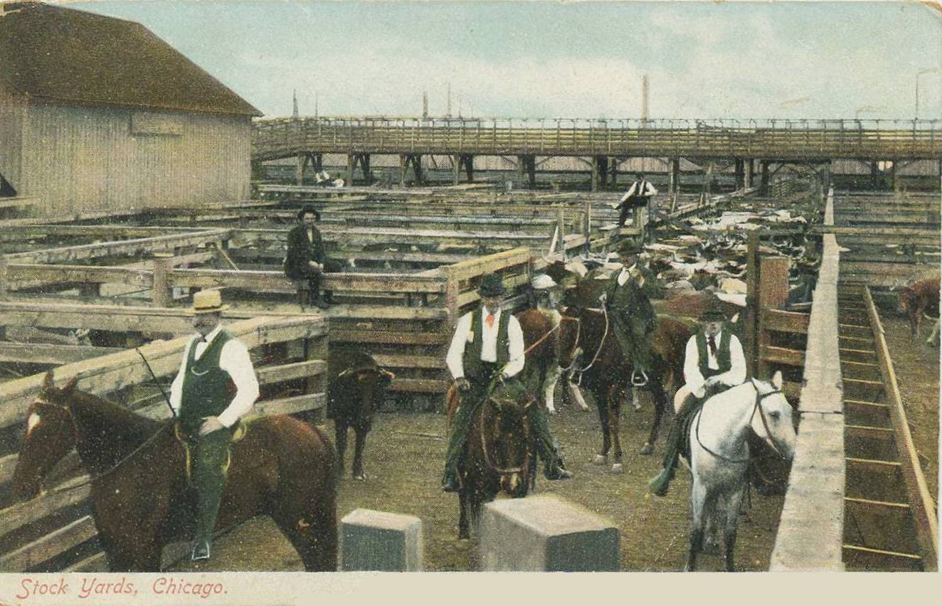 [POSTCARD+-+CHICAGO+-+STOCK+YARDS+-+MEN+MOUNTED+ON+HORSES+-+NICE+-+EARLY.jpg]