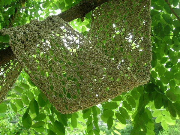 [leafy+lace+in+tree.jpg]