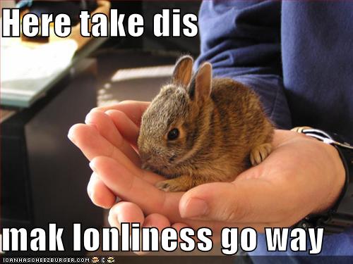 [funny-pictures-bunny-takes-loneliness.jpg]
