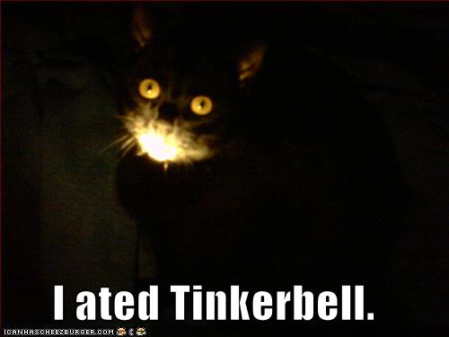 [tinkerbell+cat.jpg]