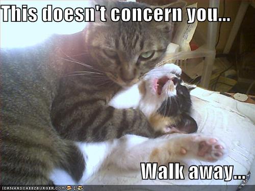 [walk+away+cat.jpg]