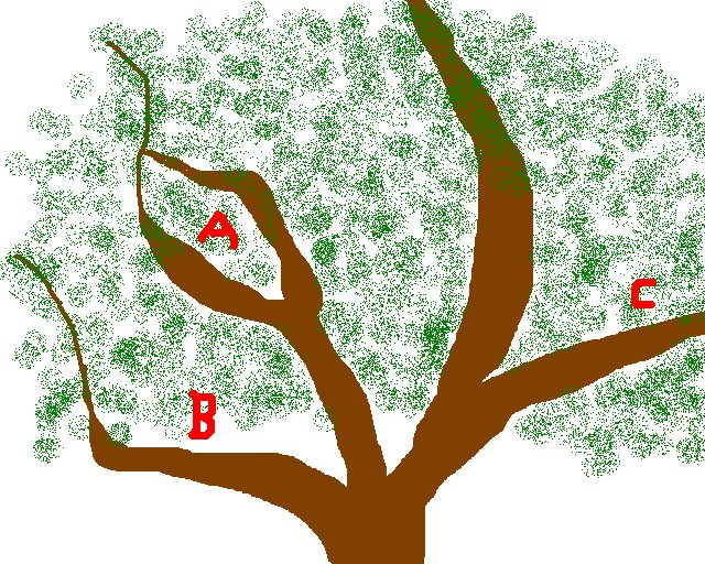 [favorite+tree.bmp]