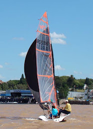 Dingo Sailing 29er