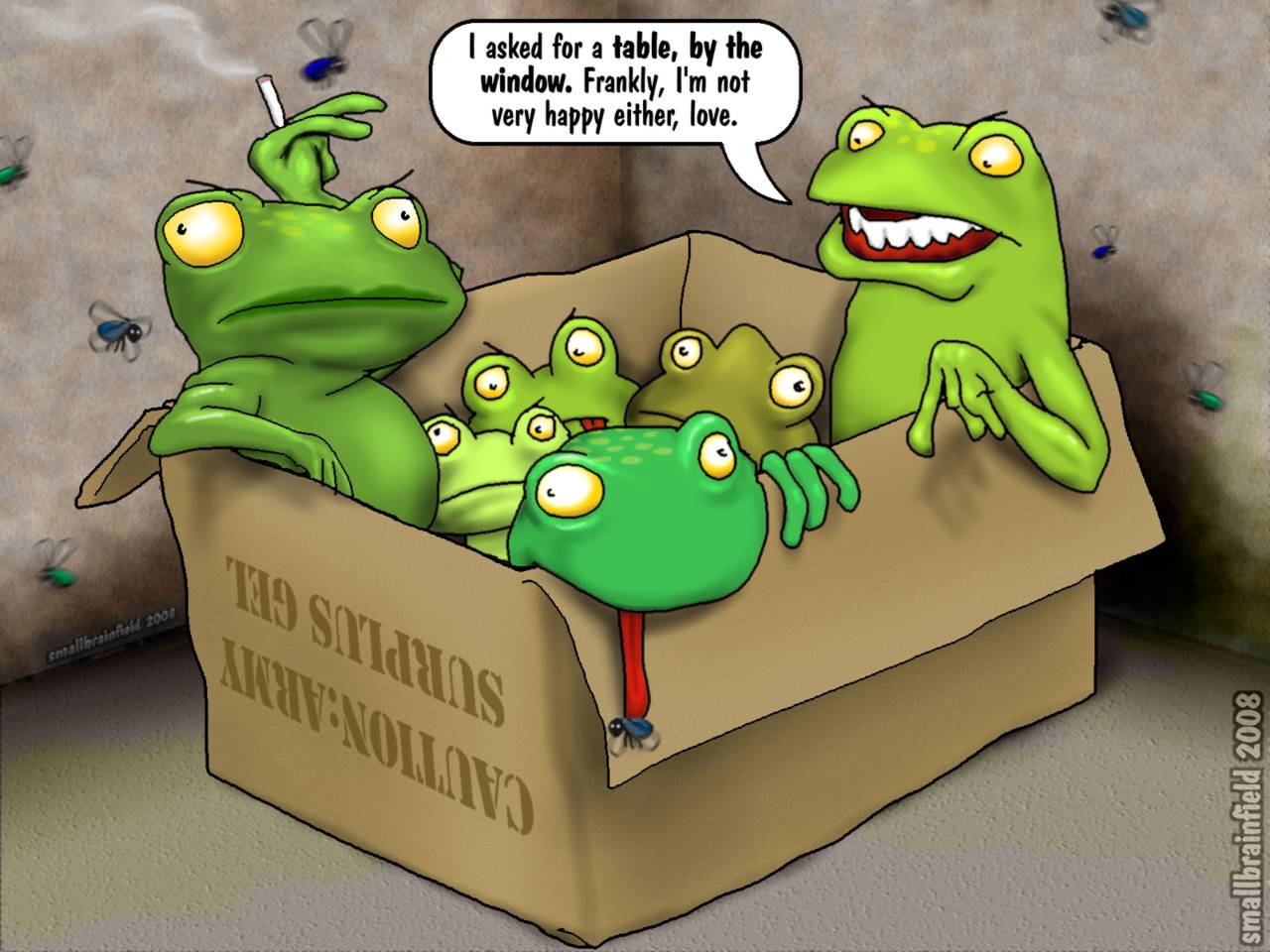 [box+of+frogsLG.jpg]