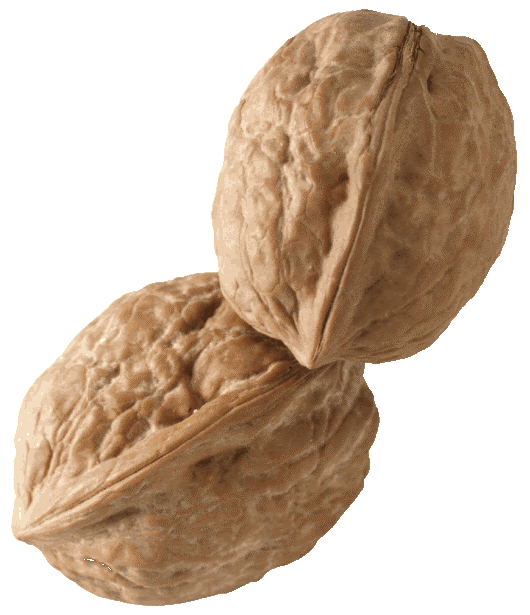 [walnuts+if+nuts.gif]
