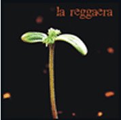 [La+Reggaera+2005.bmp]