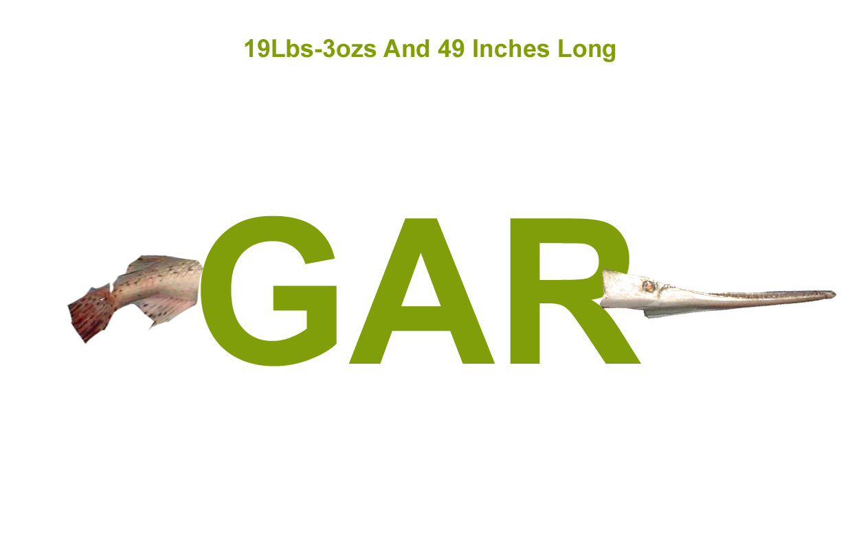 [Gar+19lbs-3+ozs+And+49+Inches+Long_edited-2.jpg]