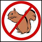 [no_squirrels.gif]