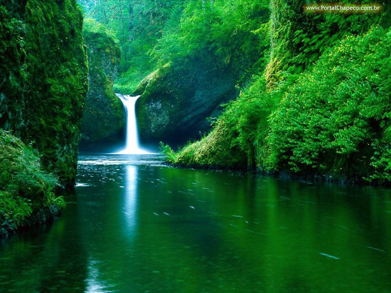 [cachoeira9-+Lagoverde.jpg]