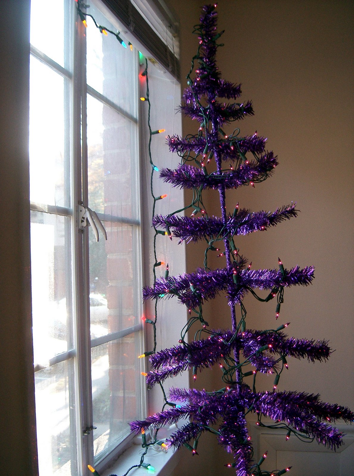 [purpletree.jpg]