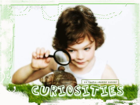 Curiosities