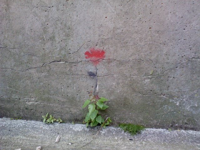 [alley+flower.jpg]