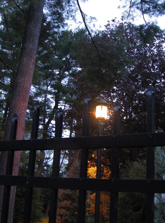 [light+evening+fence.jpg]