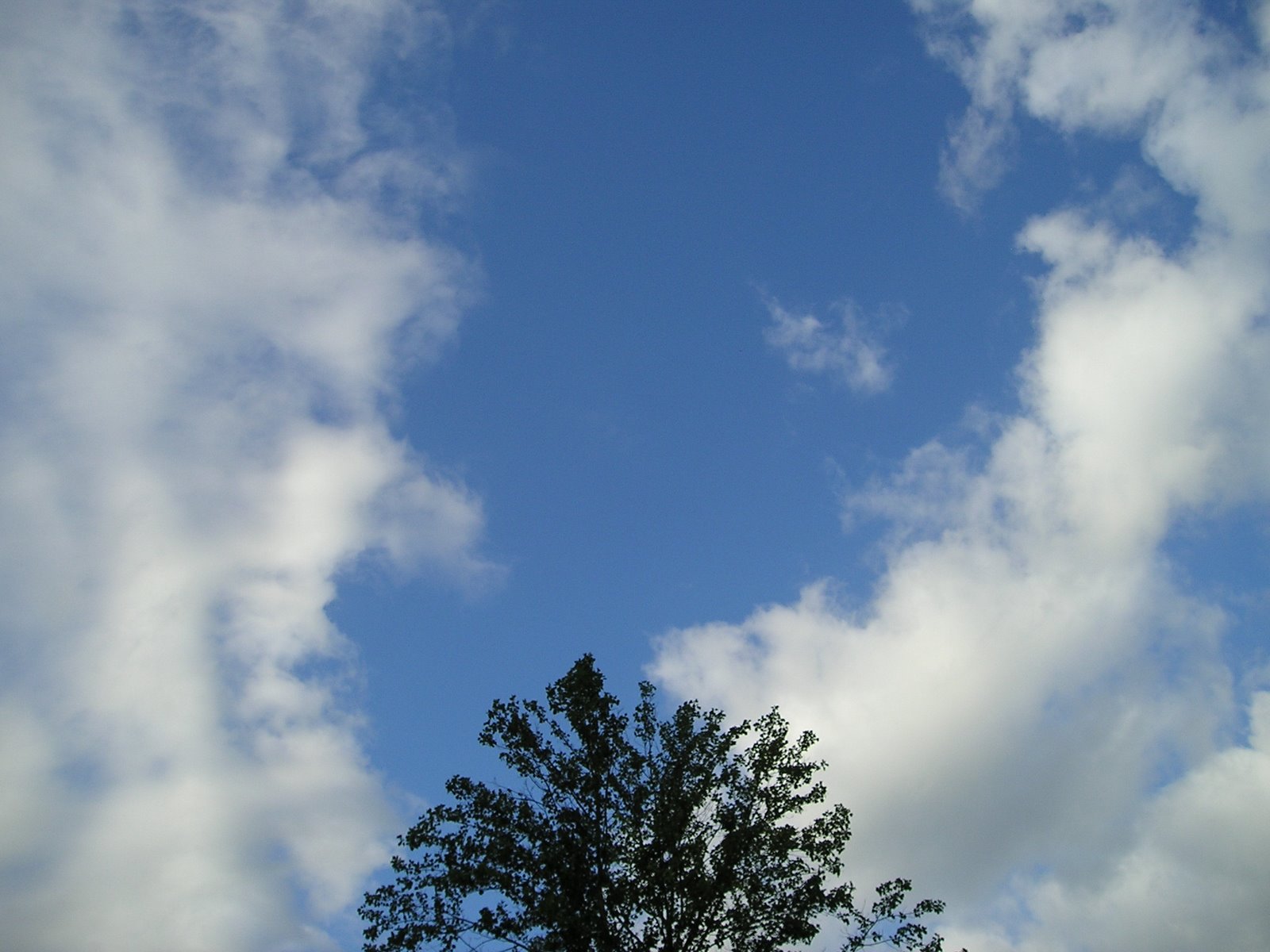 [Blue+Skies+6-2008+003.jpg]