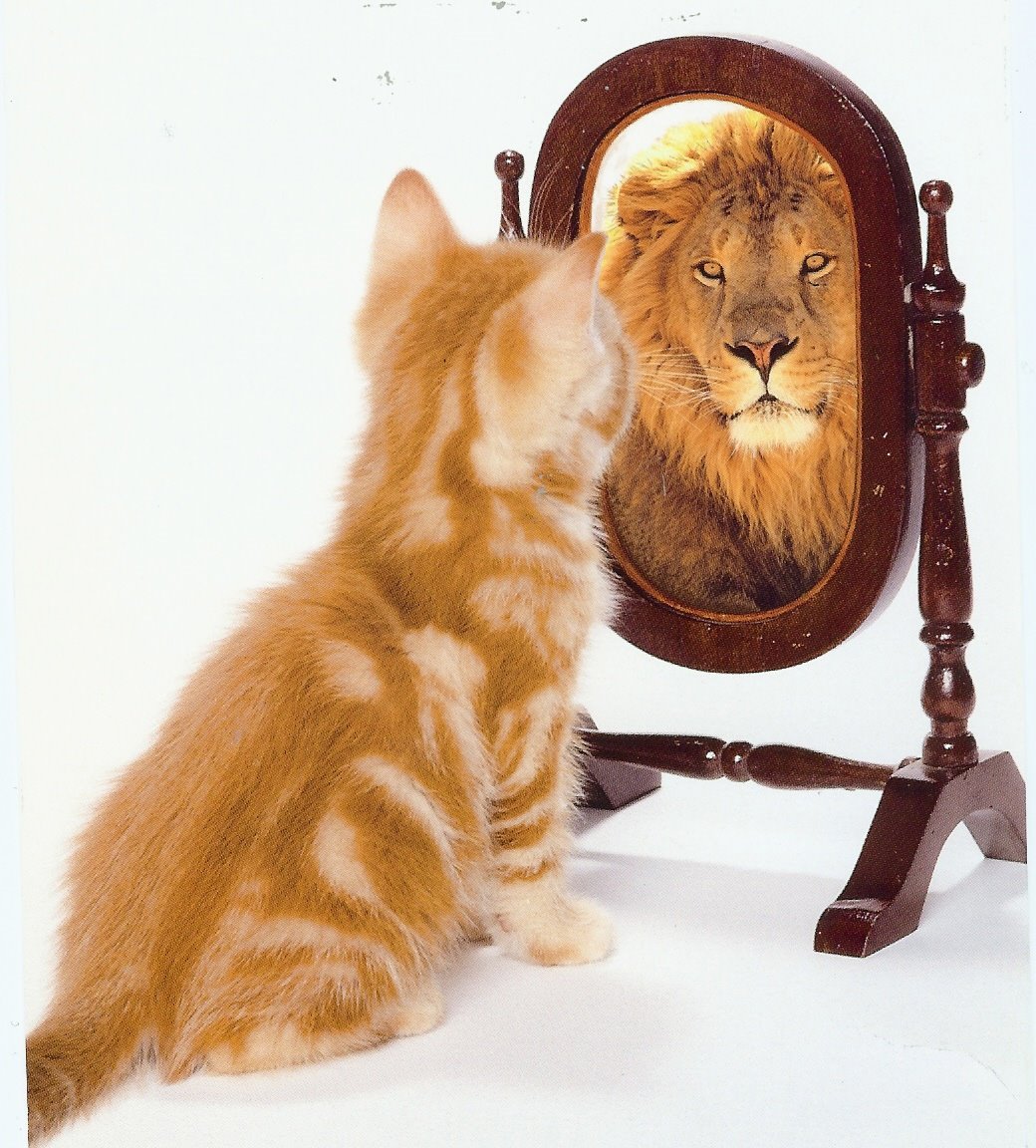 [What+matters+most+is+how+you+see+yourself.jpg]